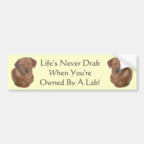 yellow red labrador retreiver with fun dog slogan bumper sticker