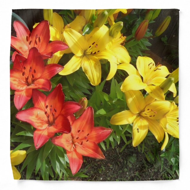 Yellow & Red Lily flower designed Bandana (Front)