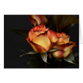 Yellow Red Rose (Front Horizontal)