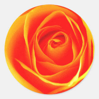 Yellow /Red Rose Sticker