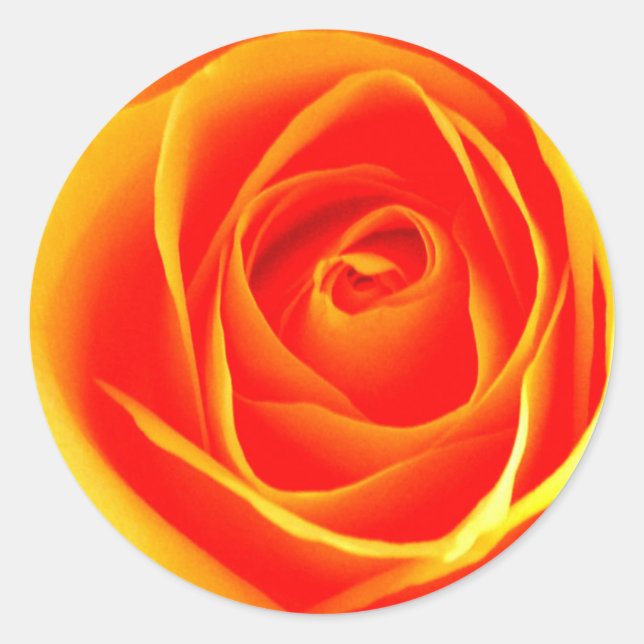 Yellow /Red Rose Sticker (Front)
