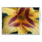 Yellow Red Spark