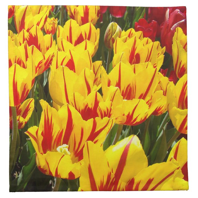 Yellow Red Tulip Flowers Napkins Spring (Front)
