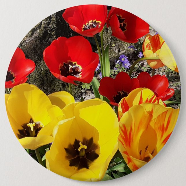 Yellow & Red Tulips Button (Front)