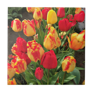 Yellow & Red Tulips Ceramic Tile