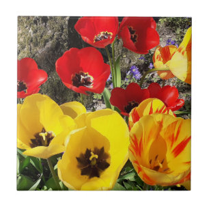 Yellow & Red Tulips Ceramic Tile