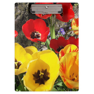 Yellow & Red Tulips Clipboard