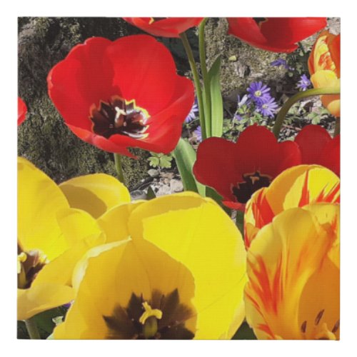 Yellow  Red Tulips  Faux Canvas Print