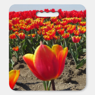 Yellow Red Tulips Field Seat Cushion