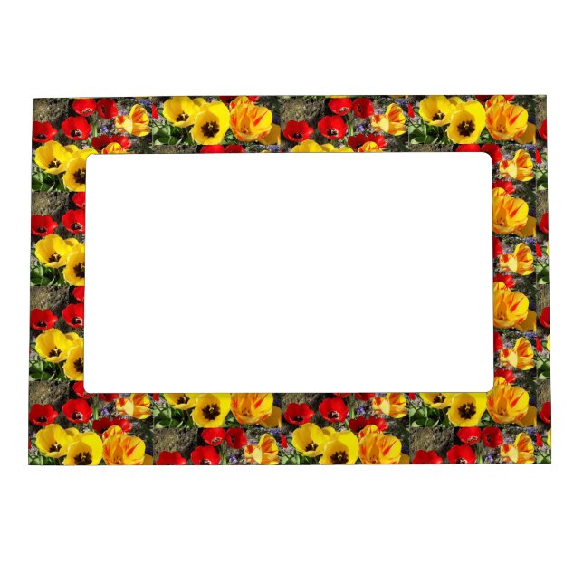 Yellow & Red Tulips Magnetic Frame (Front)