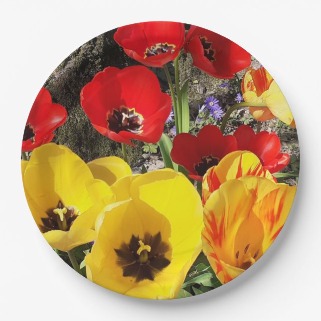 Yellow & Red Tulips  Paper Plates (Front)