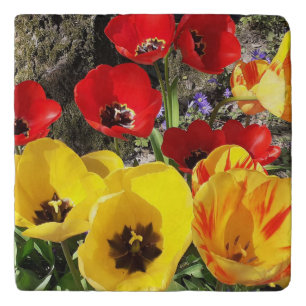 Yellow & Red Tulips Trivet