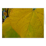 Yellow Redbud Leaves Autumn Nature Photography Cards