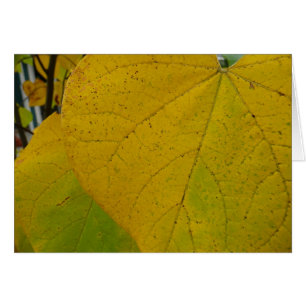 Yellow Redbud Leaves Autumn Nature Photography Cards
