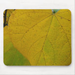 Yellow Redbud Leaves Autumn Nature Photography Mouse Pad