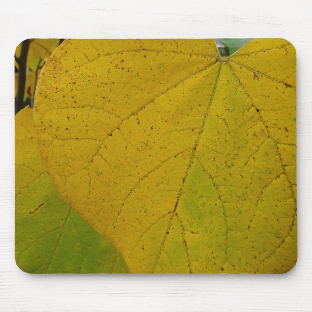 Yellow Redbud Leaves Autumn Nature Photography Mouse Pad (Front)
