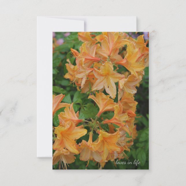 Yellow Rhododendron Note Card (Front)
