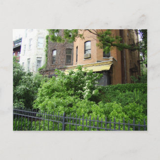 Yellow roof & garden postcard