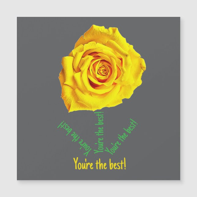 Yellow rose (Front)