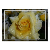 Yellow Rose (Front Horizontal)