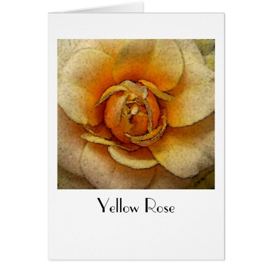 Yellow Rose (Front)