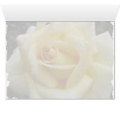 Yellow Rose (Inside Horizontal (Bottom))