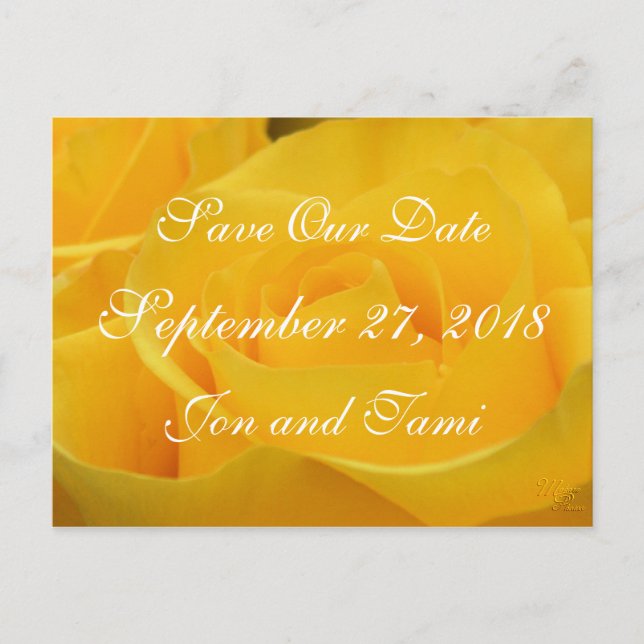 Yellow Rose 1915 Save the Date or any occasion Announcement Postcard (Front)