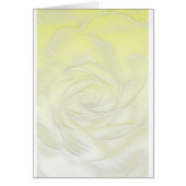 Yellow Rose Abstract (Front)