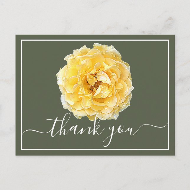 Yellow Rose And Dew Drops Green Backdrop Thank You Postcard (Front)