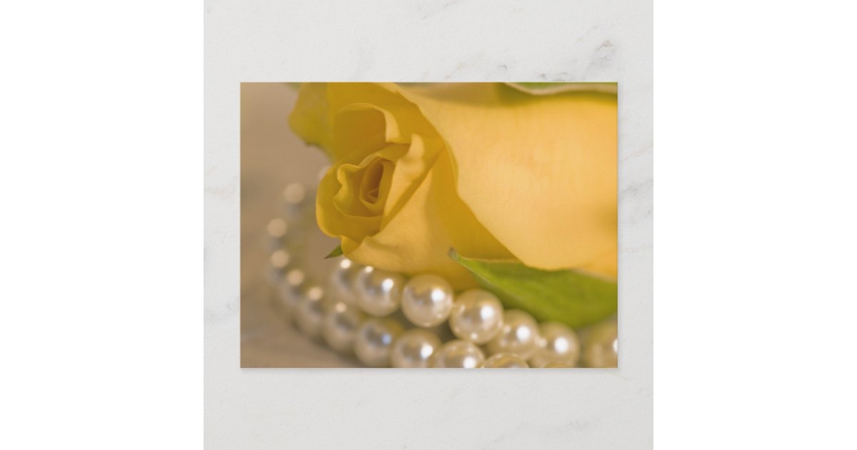 Yellow Rose and Pearls Postcard Zazzle
