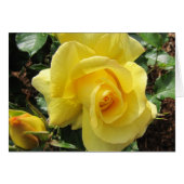 Yellow Rose and Rosebud (Front Horizontal)