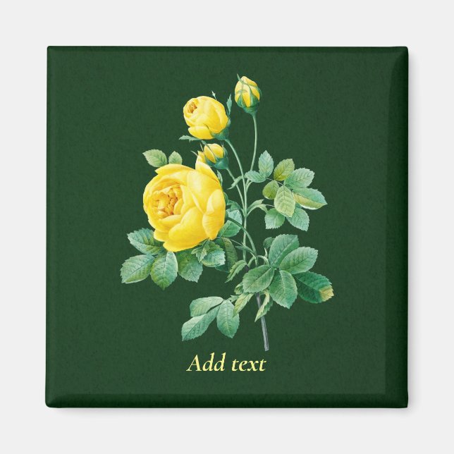 Yellow Rose and Rosebuds Template Magnet (Front)