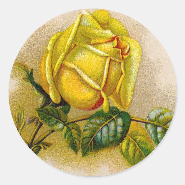Yellow Rose Antique Vintage Print Fine Art Classic Round Sticker (Front)