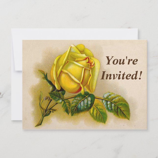 Yellow Rose Antique Vintage Print Fine Art Invitation (Front)
