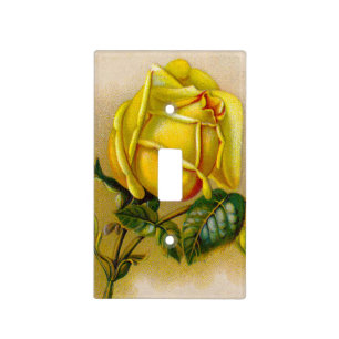 Yellow Rose Antique Vintage Print Fine Art Light Switch Cover