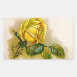 Yellow Rose Antique Vintage Print Fine Art Rectangular Sticker