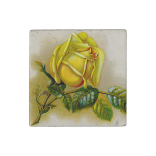 Yellow Rose Antique Vintage Print Fine Art Stone Magnet