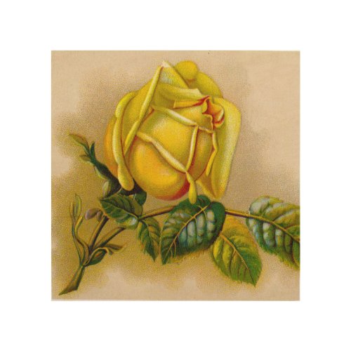 Yellow Rose Artwork Print Fine Art