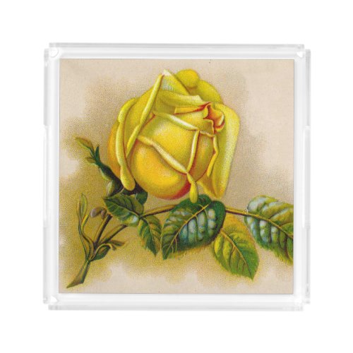 Yellow Rose Artwork Print Fine Art Acrylic Tray