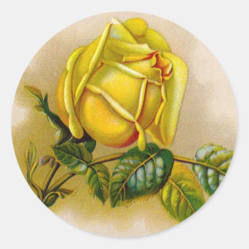 Yellow Rose Artwork Print Fine Art Classic Round Sticker