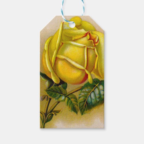 Yellow Rose Artwork Print Fine Art Gift Tags