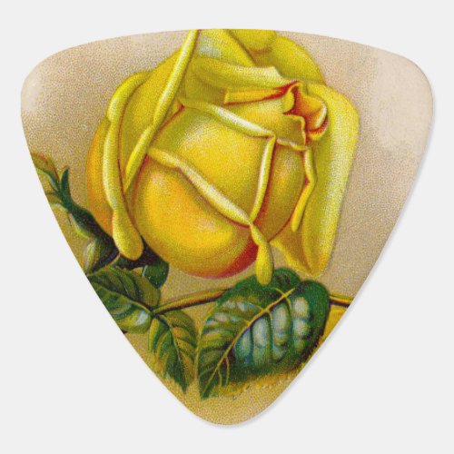 Yellow Rose Artwork Print Fine Art Guitar Pick