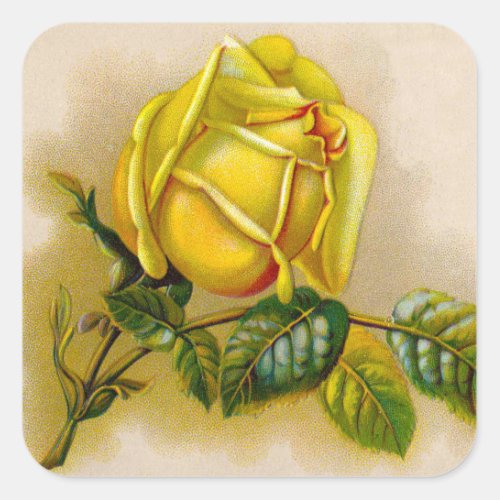 Yellow Rose Artwork Print Fine Art Square Sticker