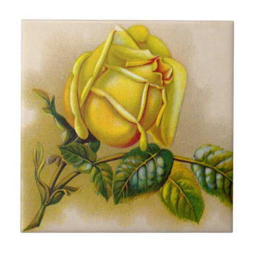 Yellow Rose Artwork Print Fine Art Tile