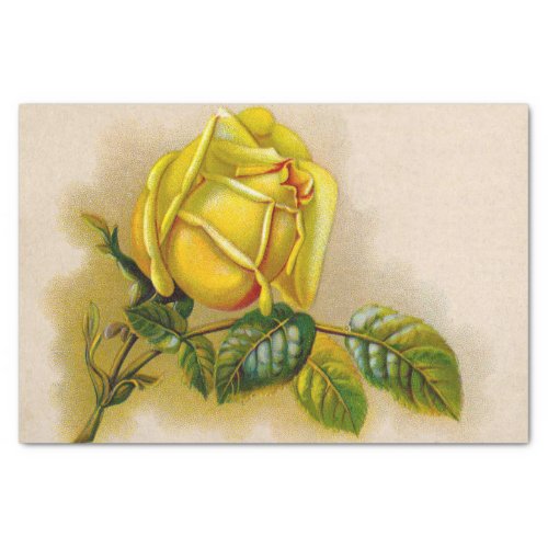 Yellow Rose Artwork Print Fine Art Tissue Paper