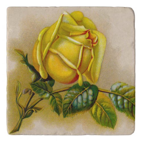 Yellow Rose Artwork Print Fine Art Trivet