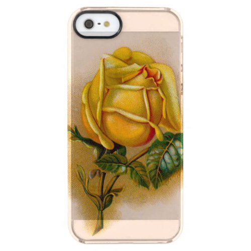 Yellow Rose Artwork Print Fine Art Clear iPhone SE55s Case