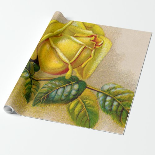 Yellow Rose Artwork Print Fine Art Wrapping Paper