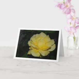 Yellow Rose at Night Portrait Card