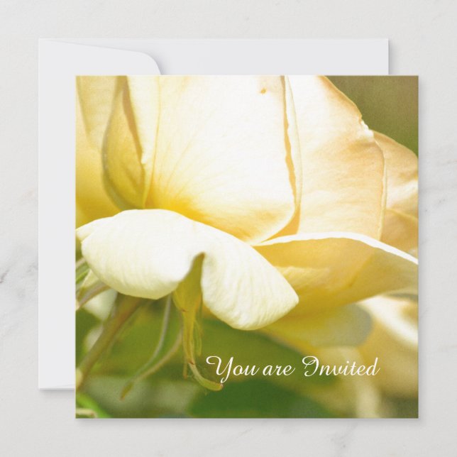 Yellow Rose Birthday Invitation (Front)